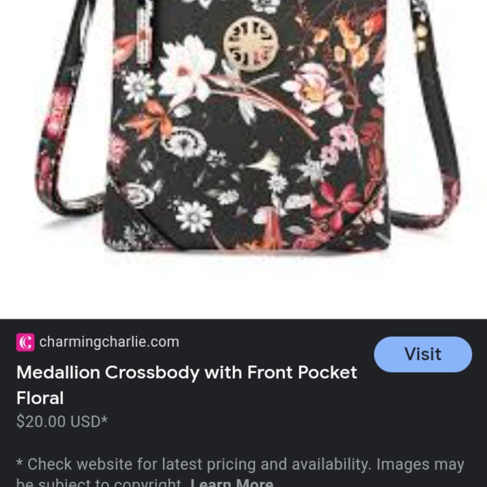 Charming Charlie bag half price $10.00
